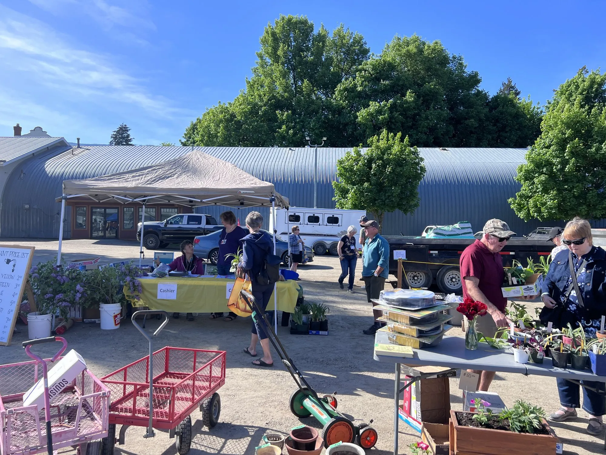 Plants laid out at the club plant sale