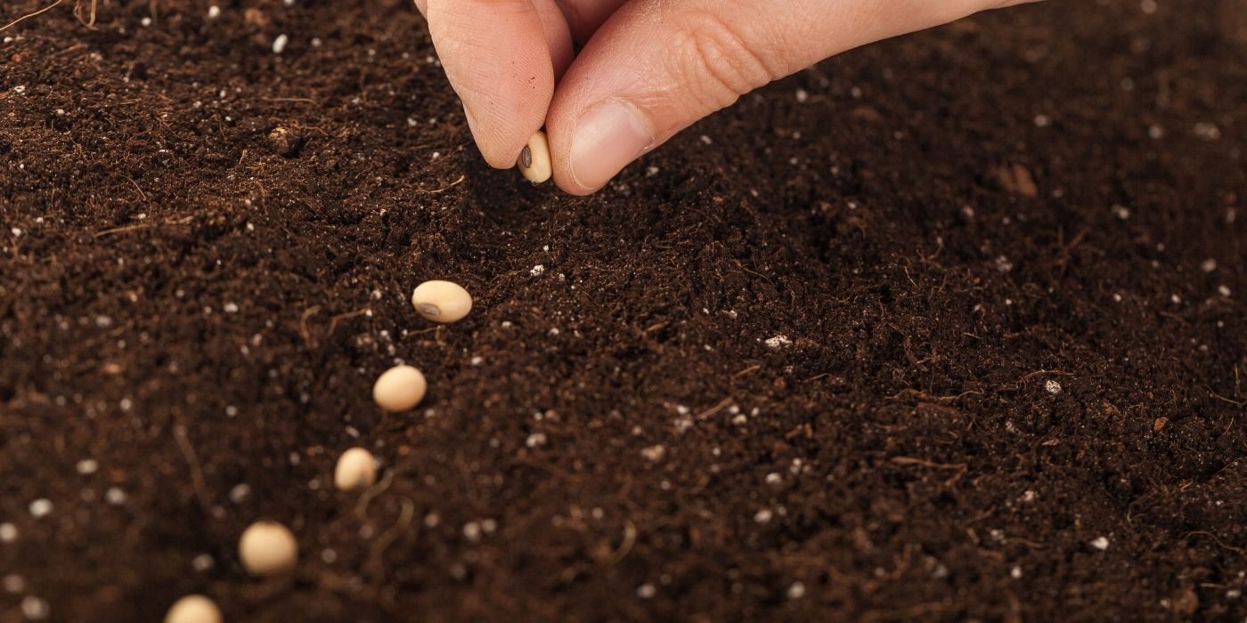 April 2021 - Armstrong Garden Club