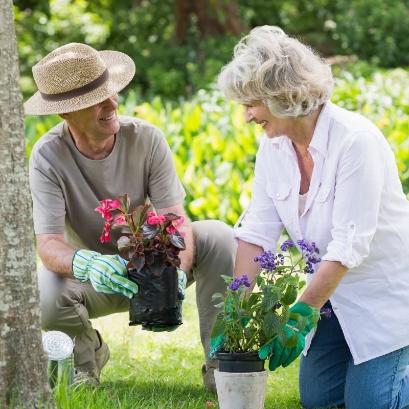 Gardening Club - Armstrong BC Canada