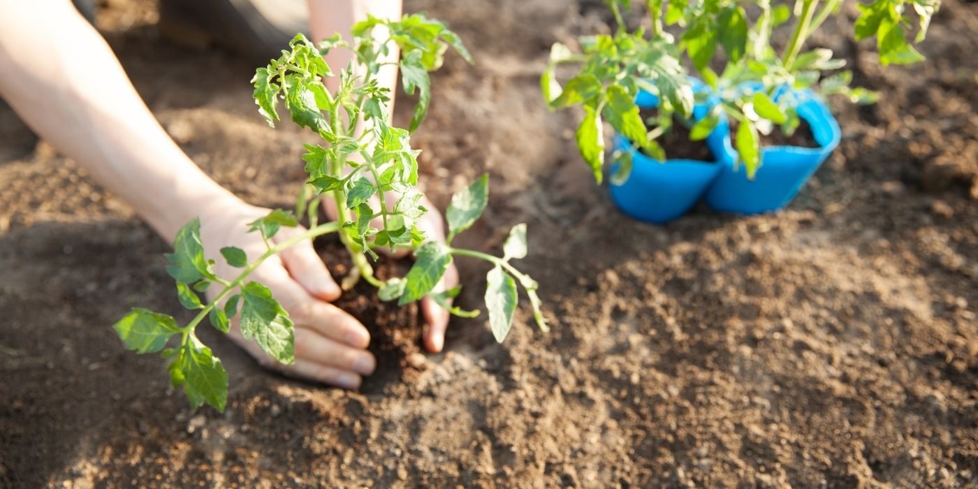 May Newsletter - Armstrong Garden Club