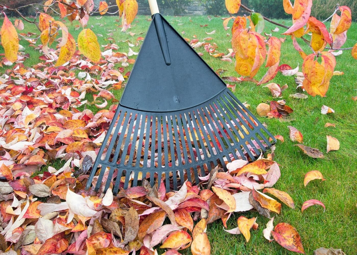 October Garden Club News