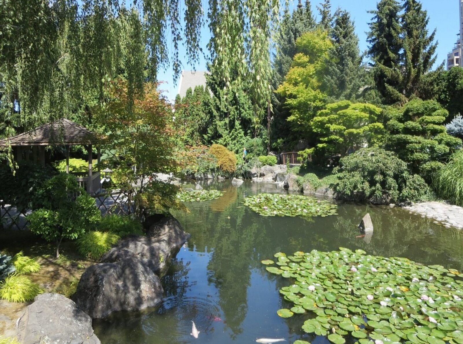 Kasugai Japanese Garden - 1435 Water St, Kelowna