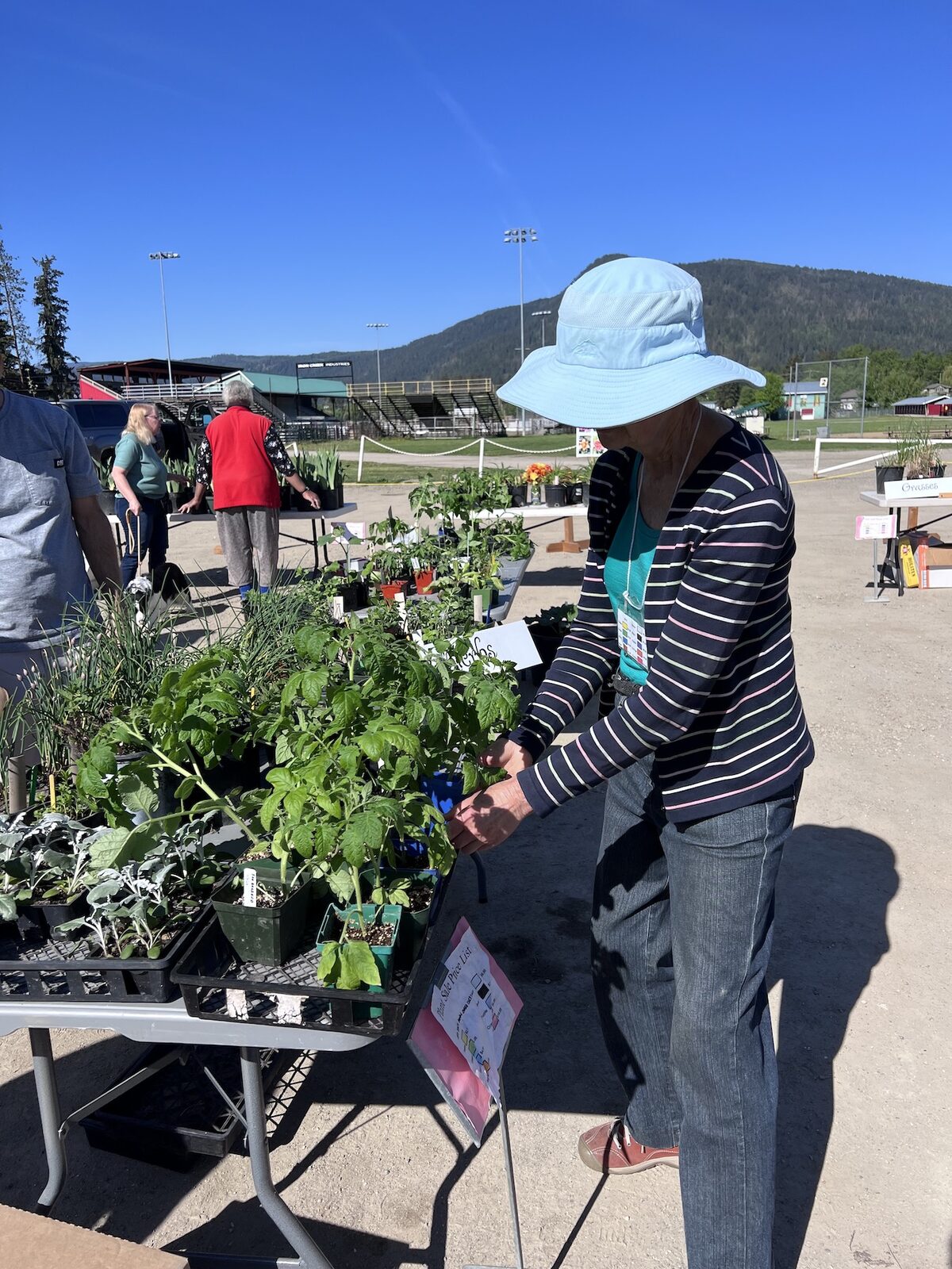 heather f at plant sale