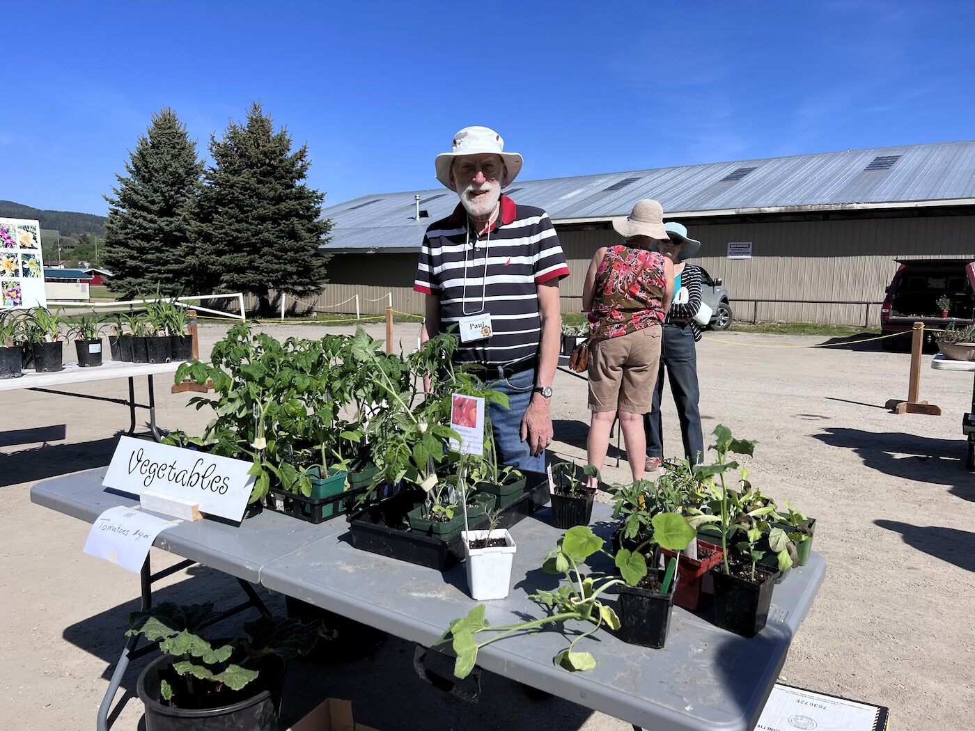 paul with tomato seedlings