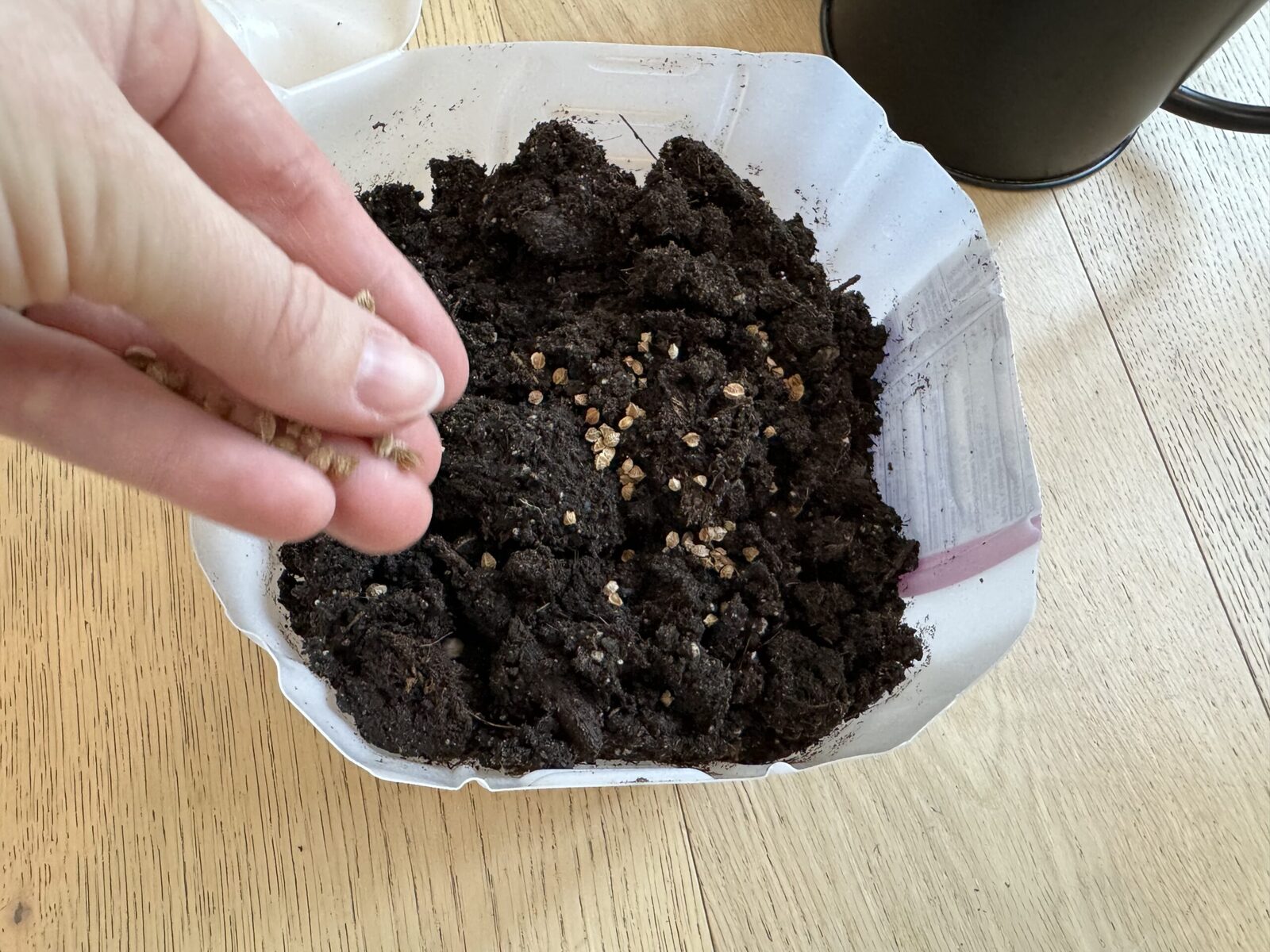 winter sowing