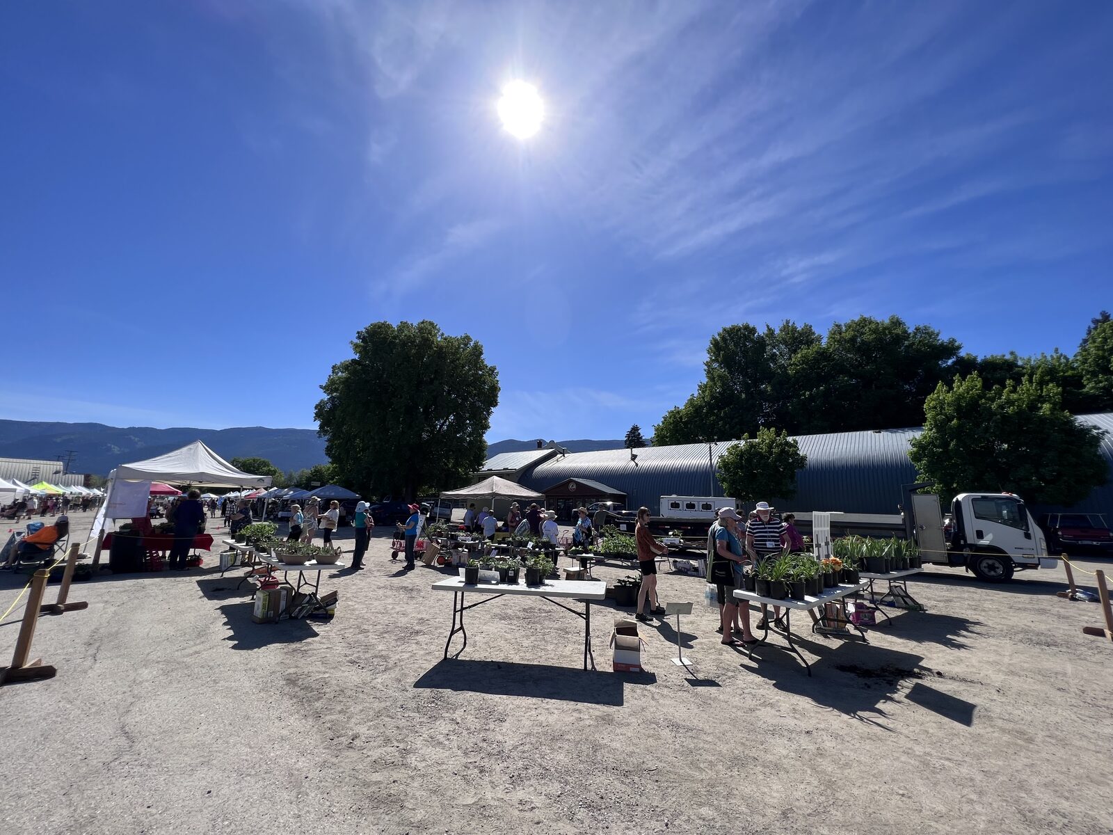 plant sale at the IPE grounds in armstrong