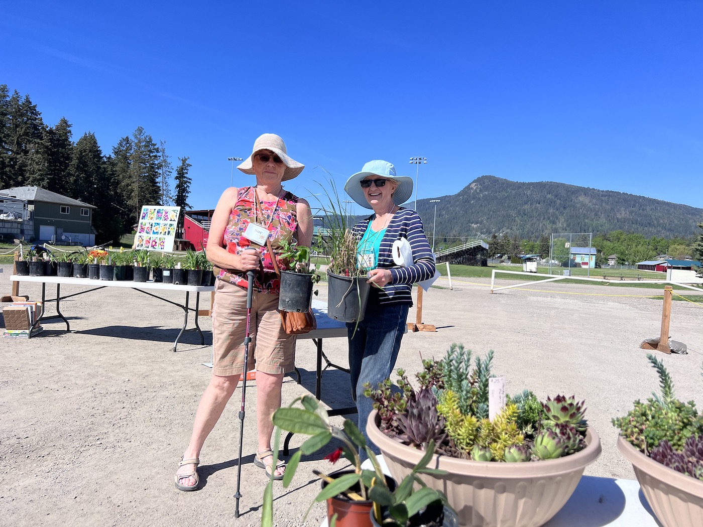 armstrong bc garden club annual plant sale