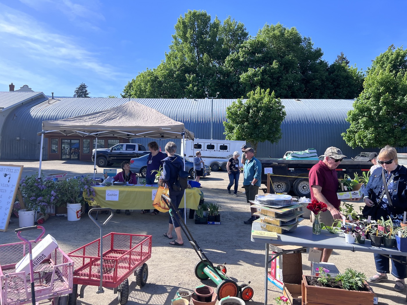 plant sale in armstrong bc